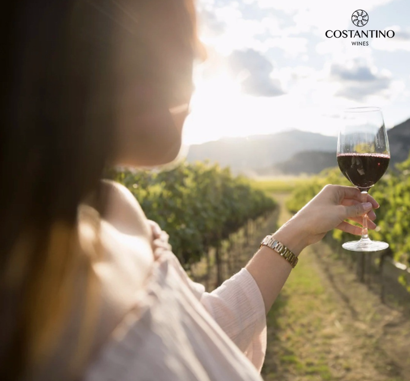 Costantino Vineyard 2